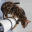 The Plateau - Horizontal Cat Scratcher Bed Set Cat Scratcher Catastrophic Creations