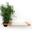 Cat Hammock Wall with Planter Cat Hammock Catastrophic Creations
