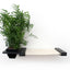 Cat Hammock Wall with Planter Cat Hammock Catastrophic Creations