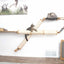 The Plateau - Horizontal Cat Scratcher Bed Set Cat Scratcher Catastrophic Creations
