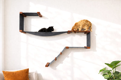 The Play - A Cat Play Wall System Cat Condo Catastrophic Creations