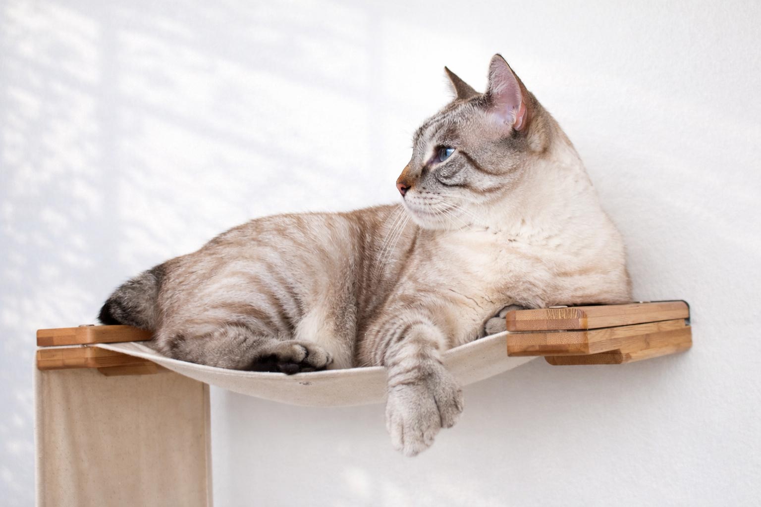 The Play - A Cat Play Wall System Cat Condo Catastrophic Creations
