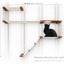The Play - A Cat Play Wall System Cat Condo Catastrophic Creations