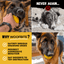 Brute Ball™ Monster K9 Dog Toys