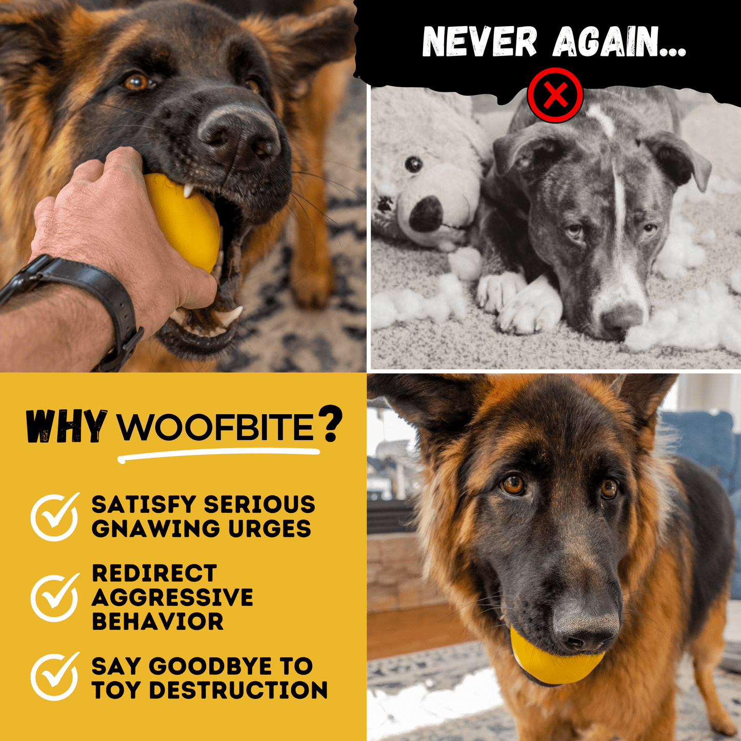 Brute Ball™ Monster K9 Dog Toys