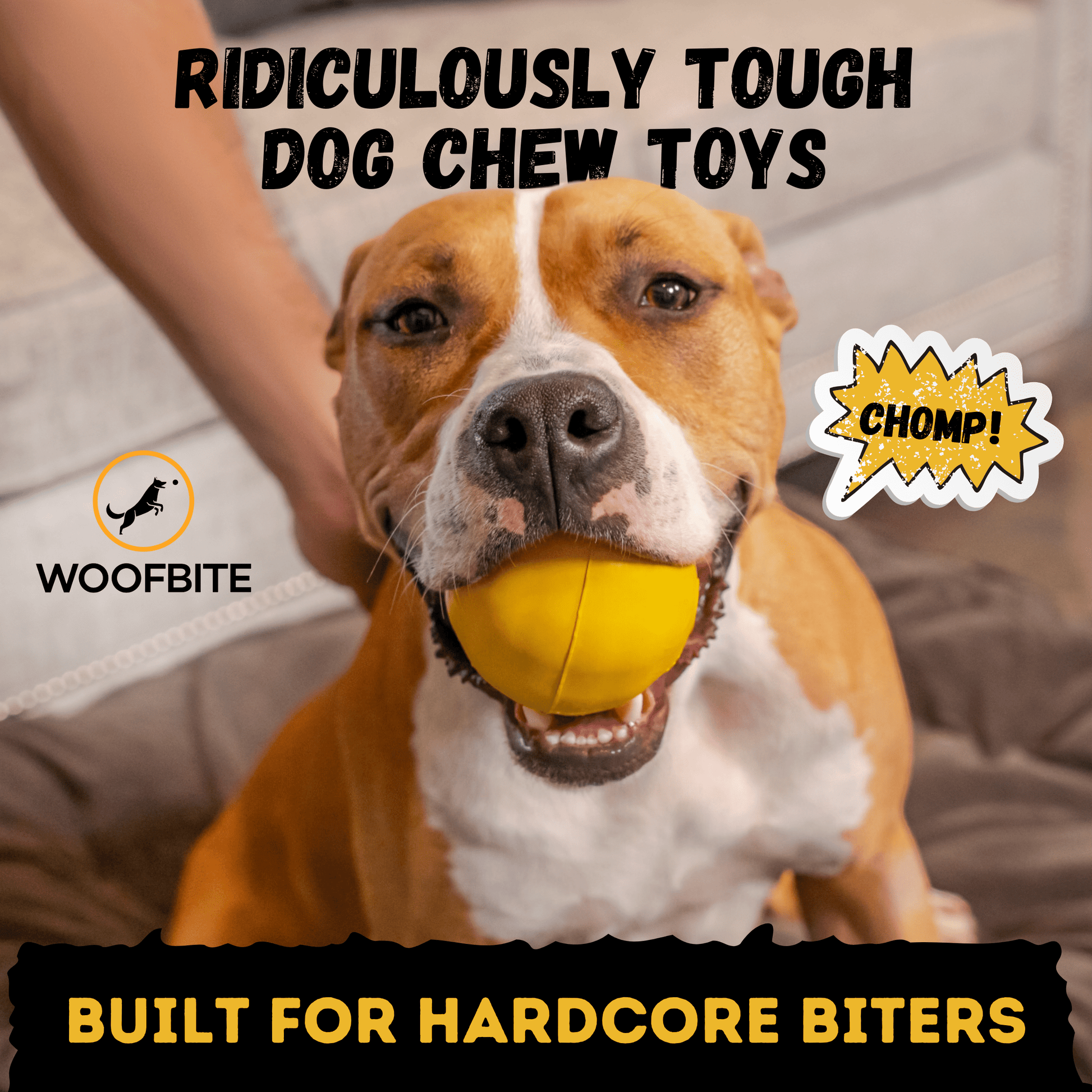 Brute Ball™ Monster K9 Dog Toys