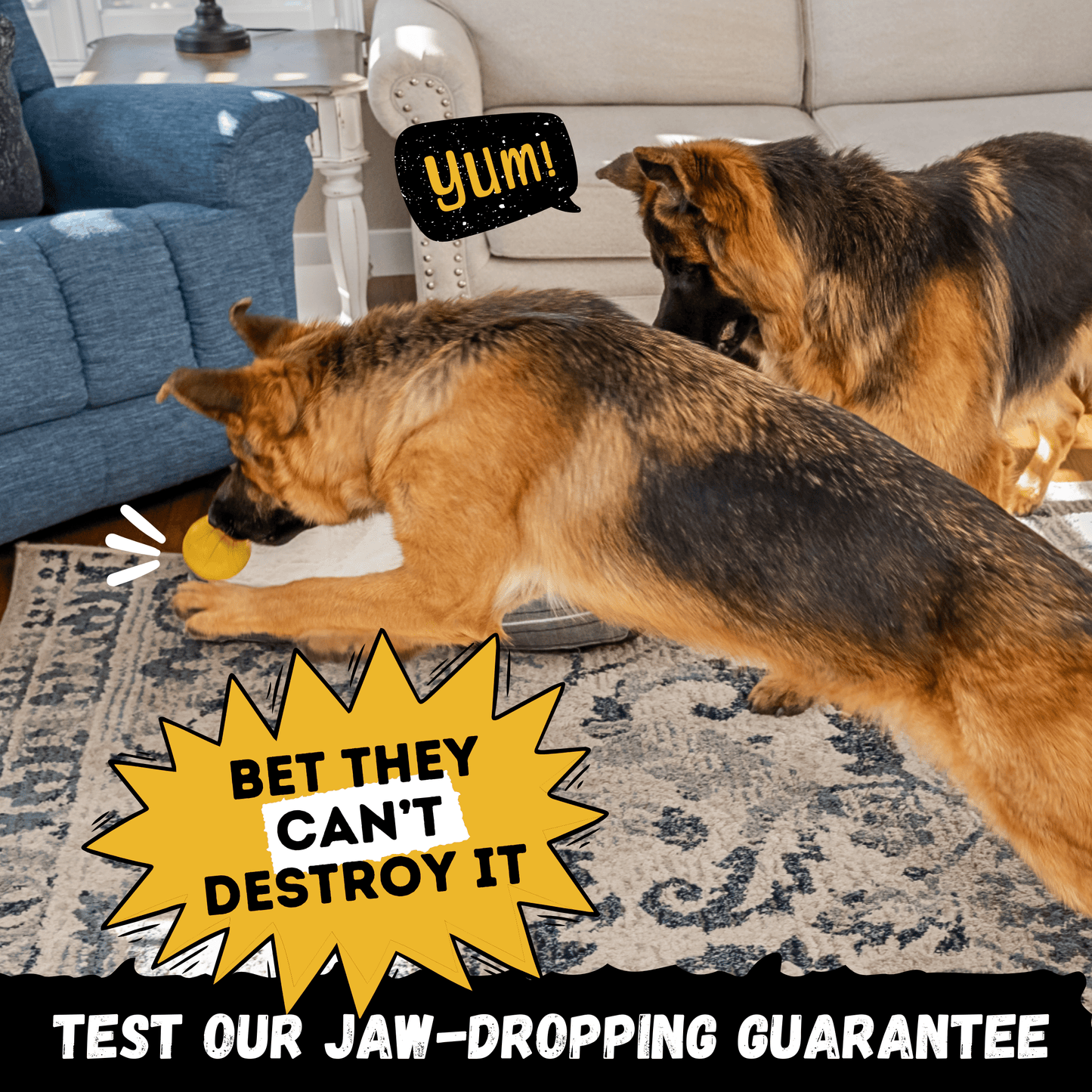 Brute Ball™ Monster K9 Dog Toys