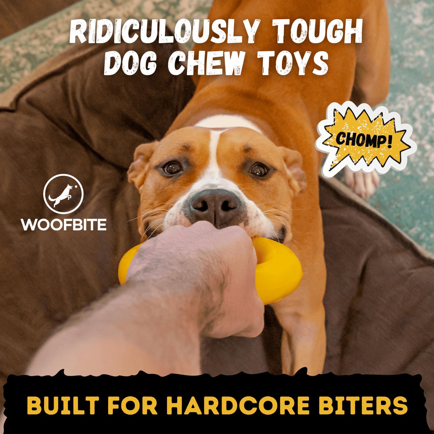 Clutch Ring™ Monster K9 Dog Toys