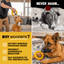 Clutch Ring™ Monster K9 Dog Toys
