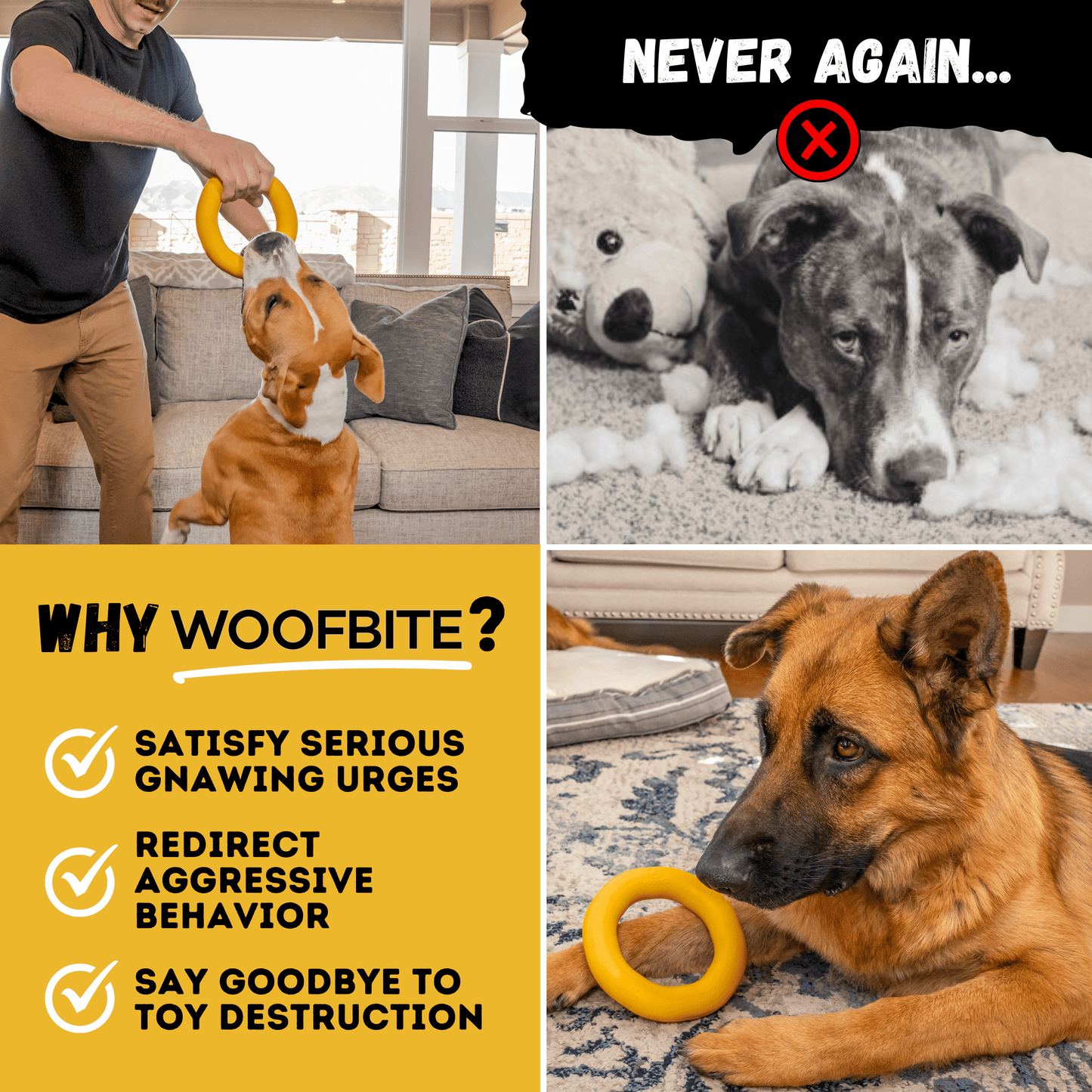 Clutch Ring™ Monster K9 Dog Toys