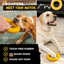 Clutch Ring™ Monster K9 Dog Toys