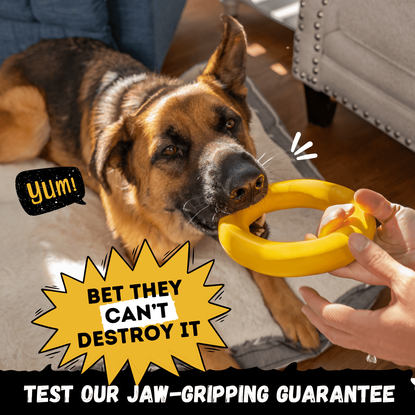 Clutch Ring™ Monster K9 Dog Toys