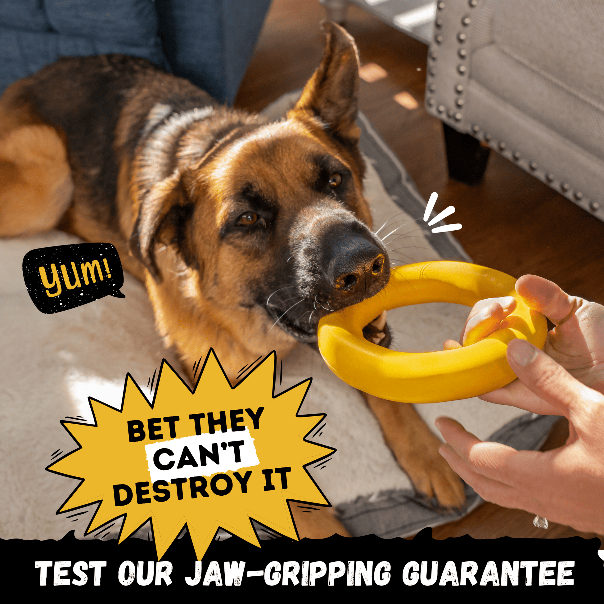 Clutch Ring™ Monster K9 Dog Toys