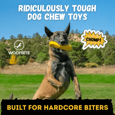 Power Stick™ Monster K9 Dog Toys