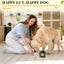 Probiotic Bites for Dogs – Gut Health & Digestive Support Supplements Barrow & Hound