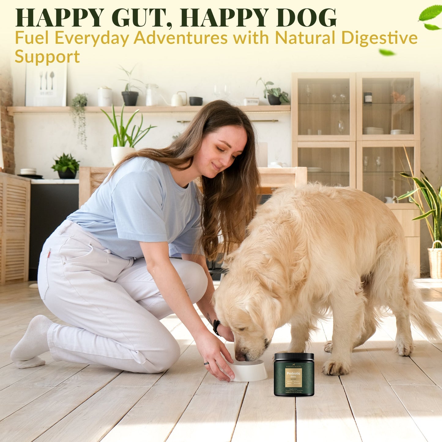 Probiotic Bites for Dogs – Gut Health & Digestive Support Supplements Barrow & Hound