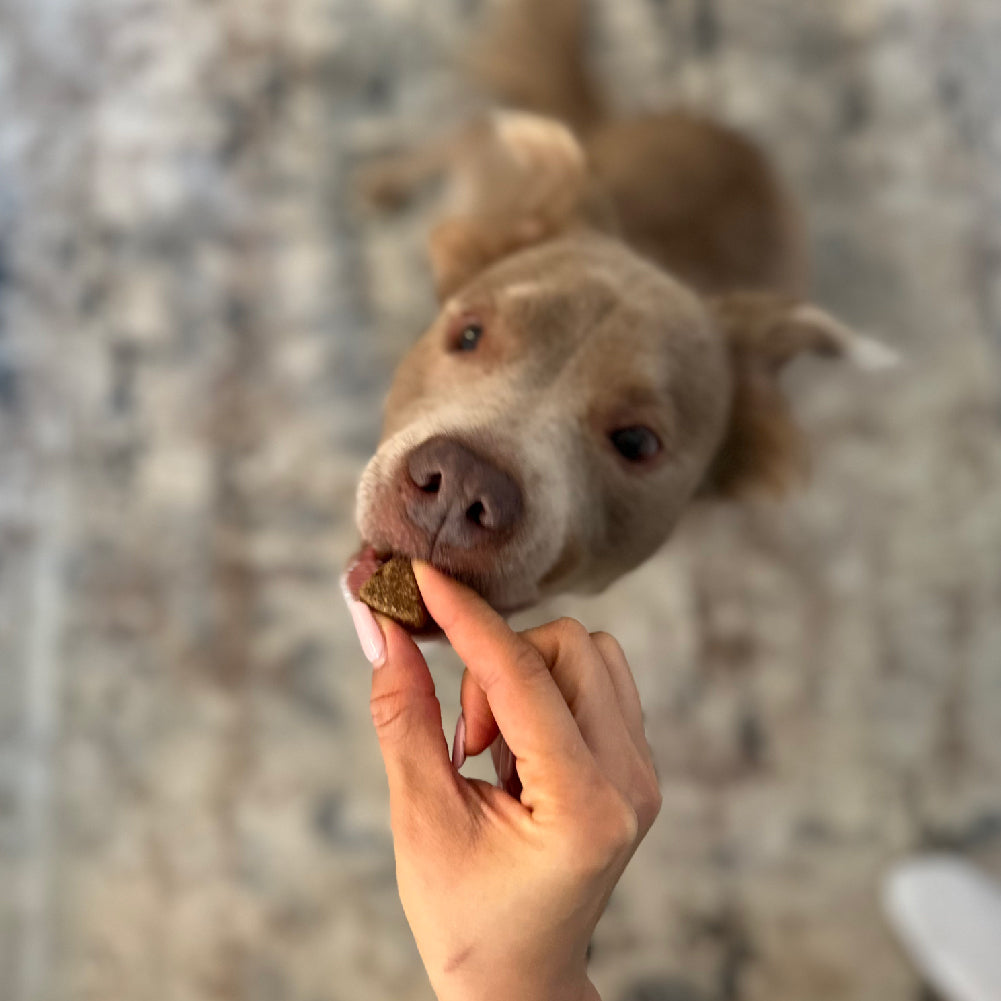 Hip & Joint Chews (90 Chews) Freezbone