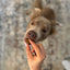 Probiotic Chews (90 Chews) Freezbone