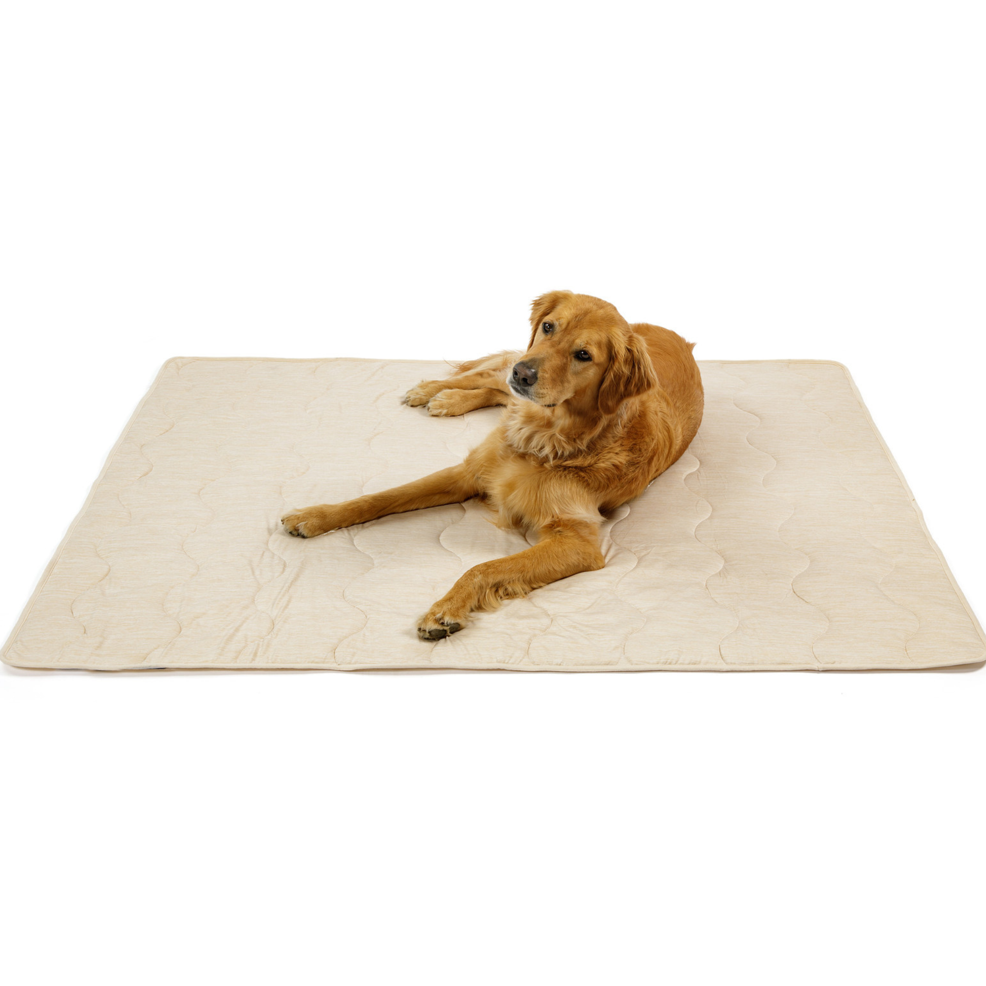 PupChill™ Cooling Waterproof Blanket - Arctic Sand Dog Blanket Paw