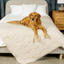 PupChill™ Cooling Waterproof Blanket - Arctic Sand Original (50" L x 60" W) Dog Blanket Paw