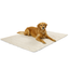 PupChill™ Cooling Waterproof Blanket - Arctic Sand Dog Blanket Paw