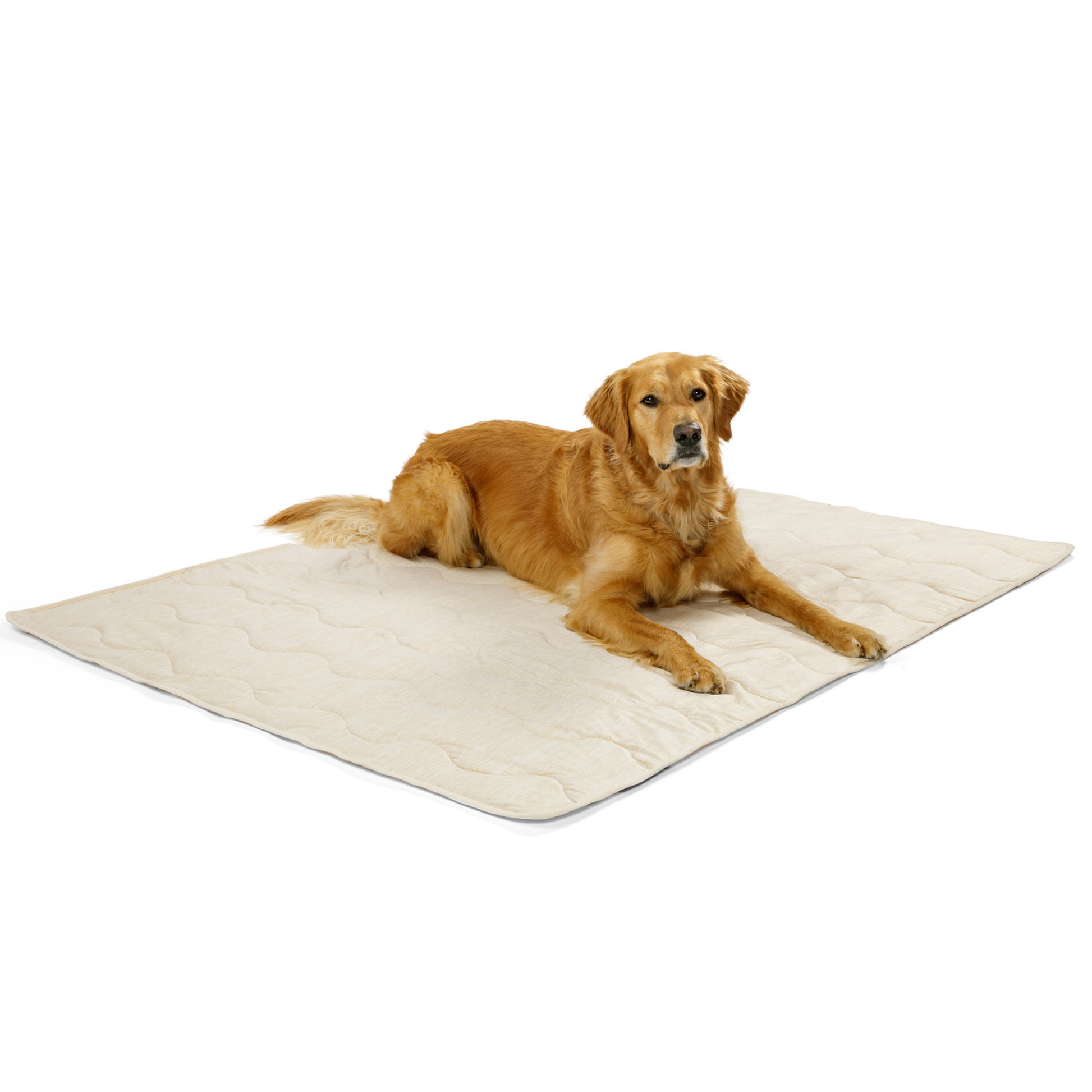 PupChill™ Cooling Waterproof Blanket - Arctic Sand Dog Blanket Paw