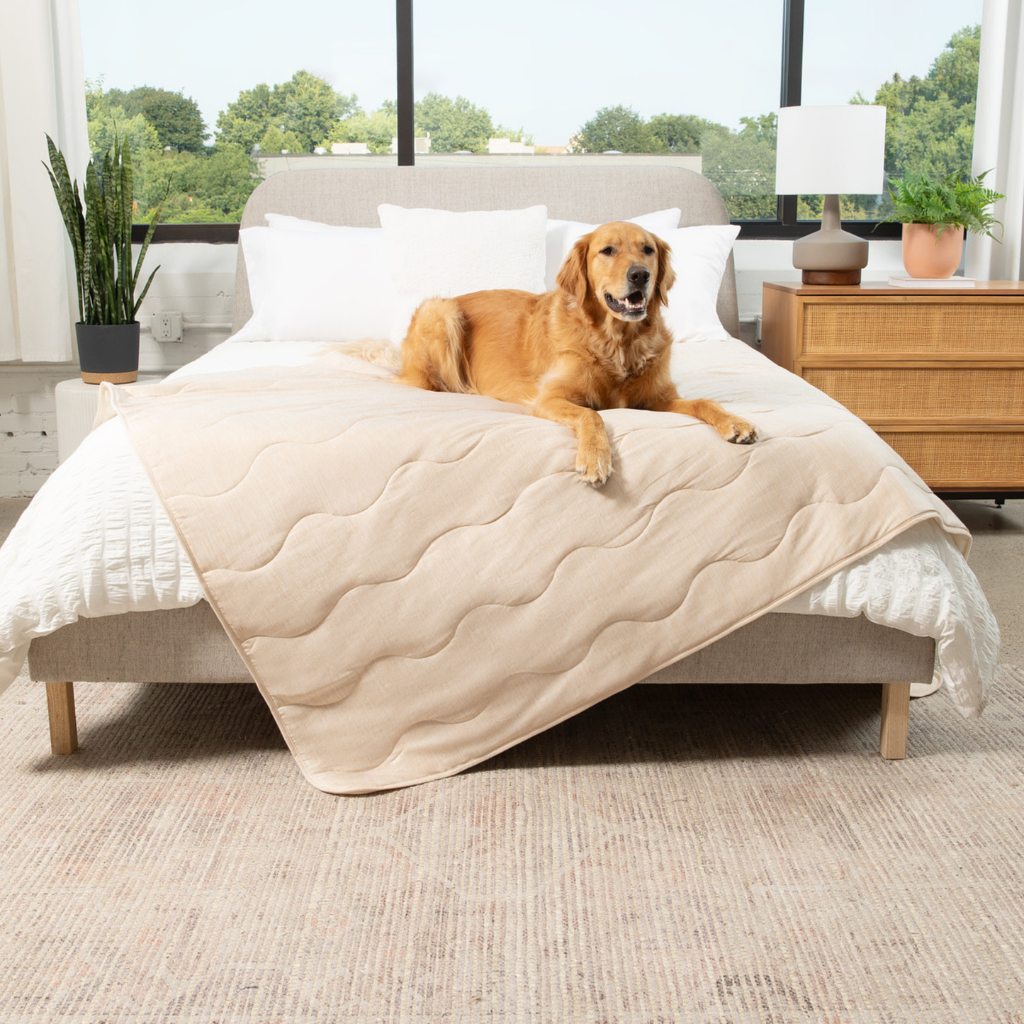 PupChill™ Cooling Waterproof Blanket - Arctic Sand Dog Blanket Paw