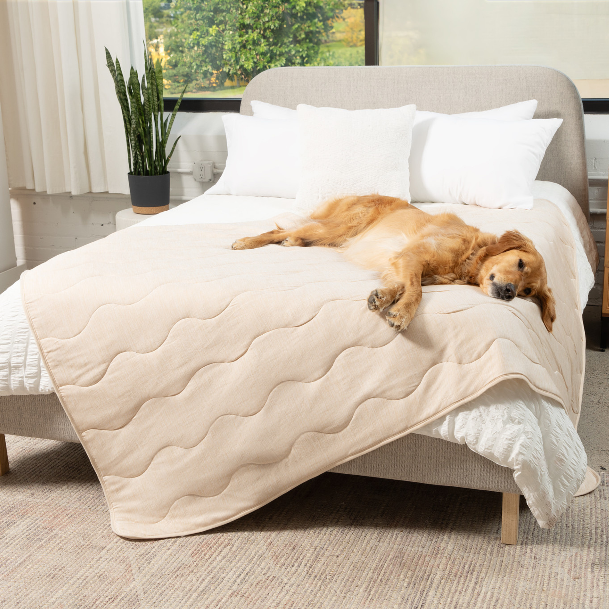 PupChill™ Cooling Waterproof Blanket - Arctic Sand Dog Blanket Paw