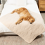 PupChill™ Cooling Waterproof Blanket - Arctic Sand Dog Blanket Paw