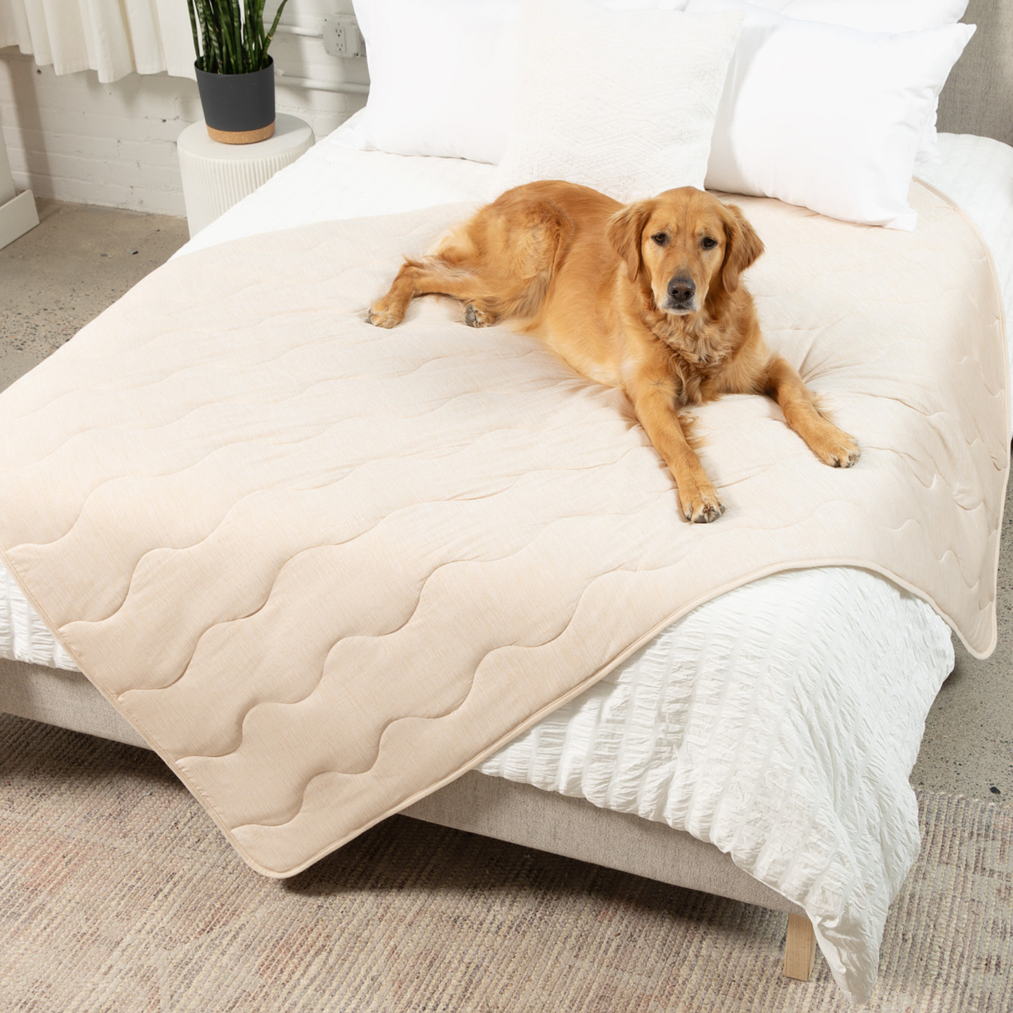 PupChill™ Cooling Waterproof Blanket - Arctic Sand Large (60" L x 82" W) Dog Blanket Paw