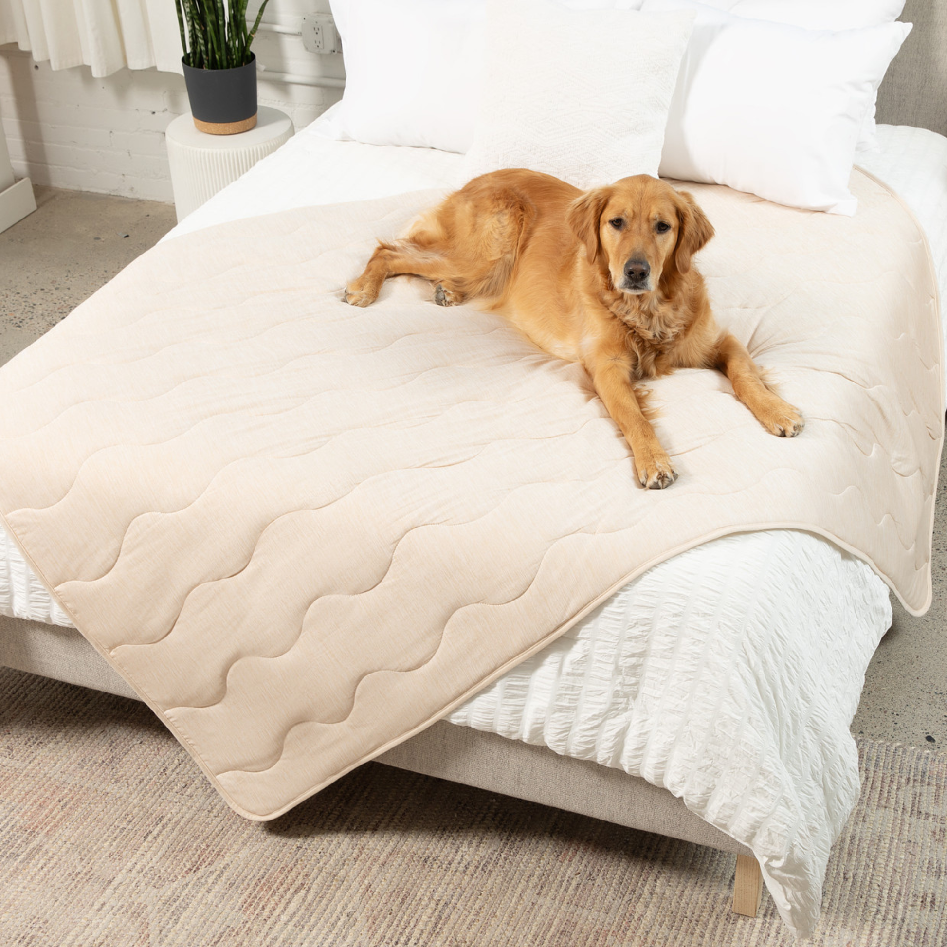PupChill™ Cooling Waterproof Blanket - Arctic Sand Large (60" L x 82" W) Dog Blanket Paw
