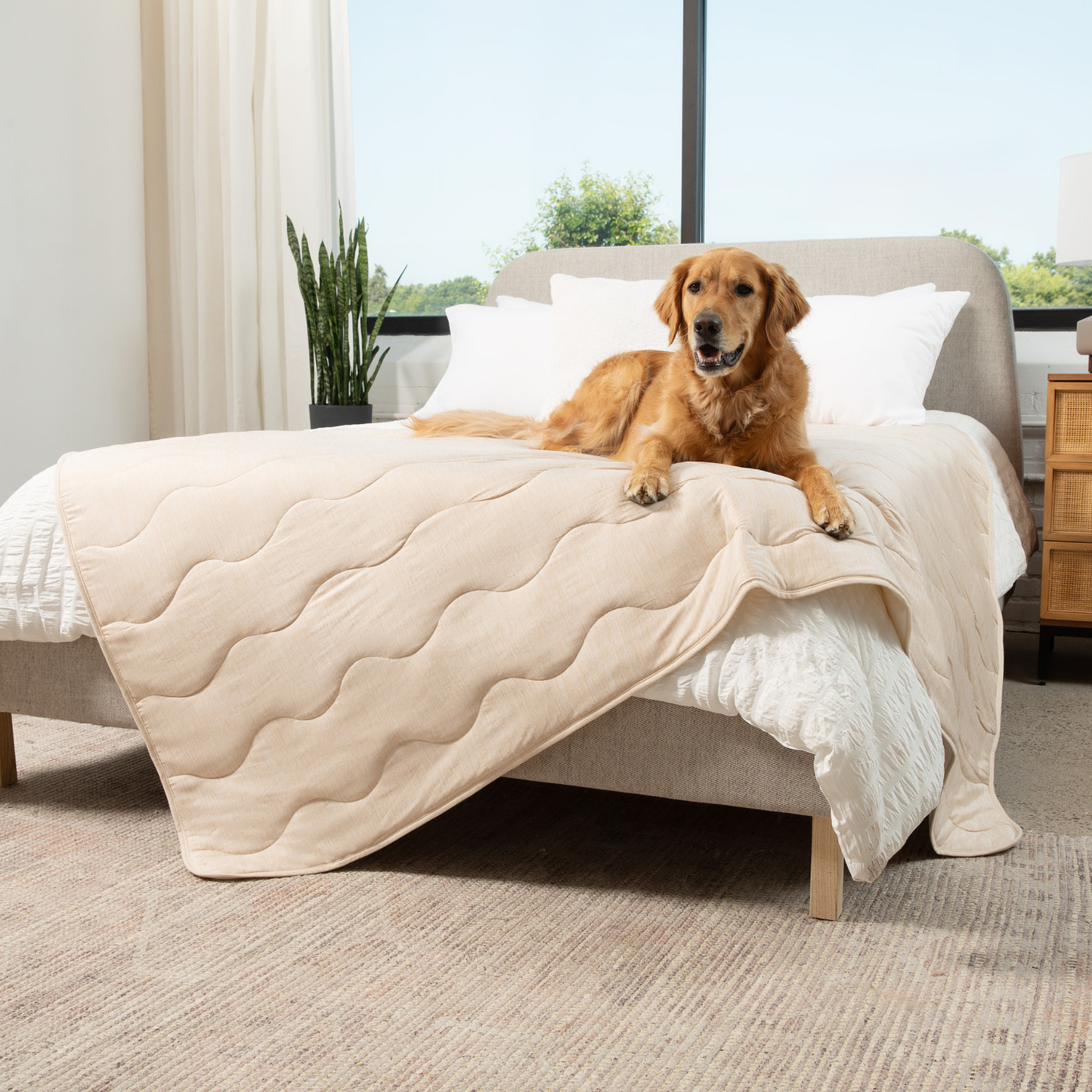 PupChill™ Cooling Waterproof Blanket - Arctic Sand Dog Blanket Paw