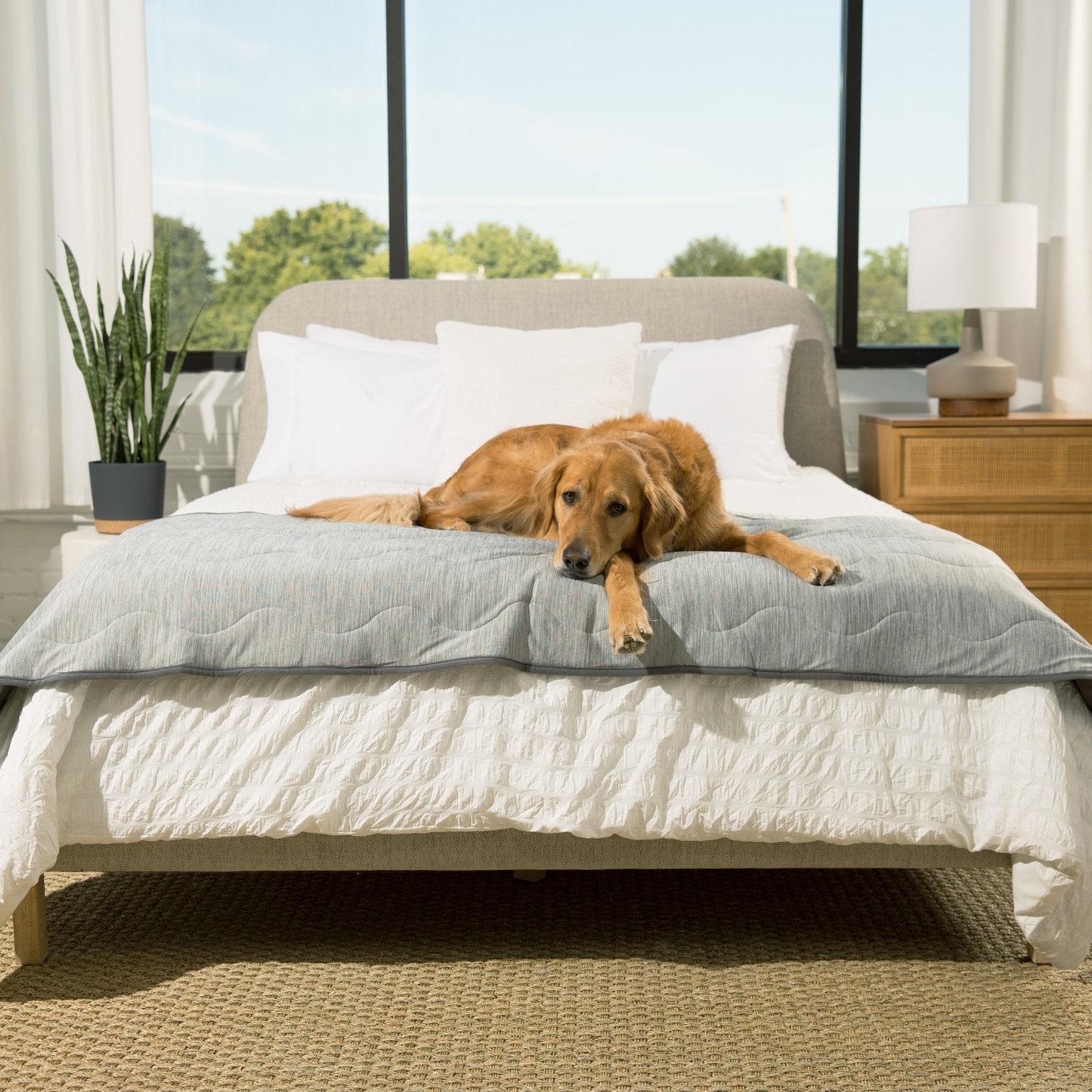PupChill™ Cooling Waterproof Runner Blanket - Arctic Grey Dog Blanket Paw