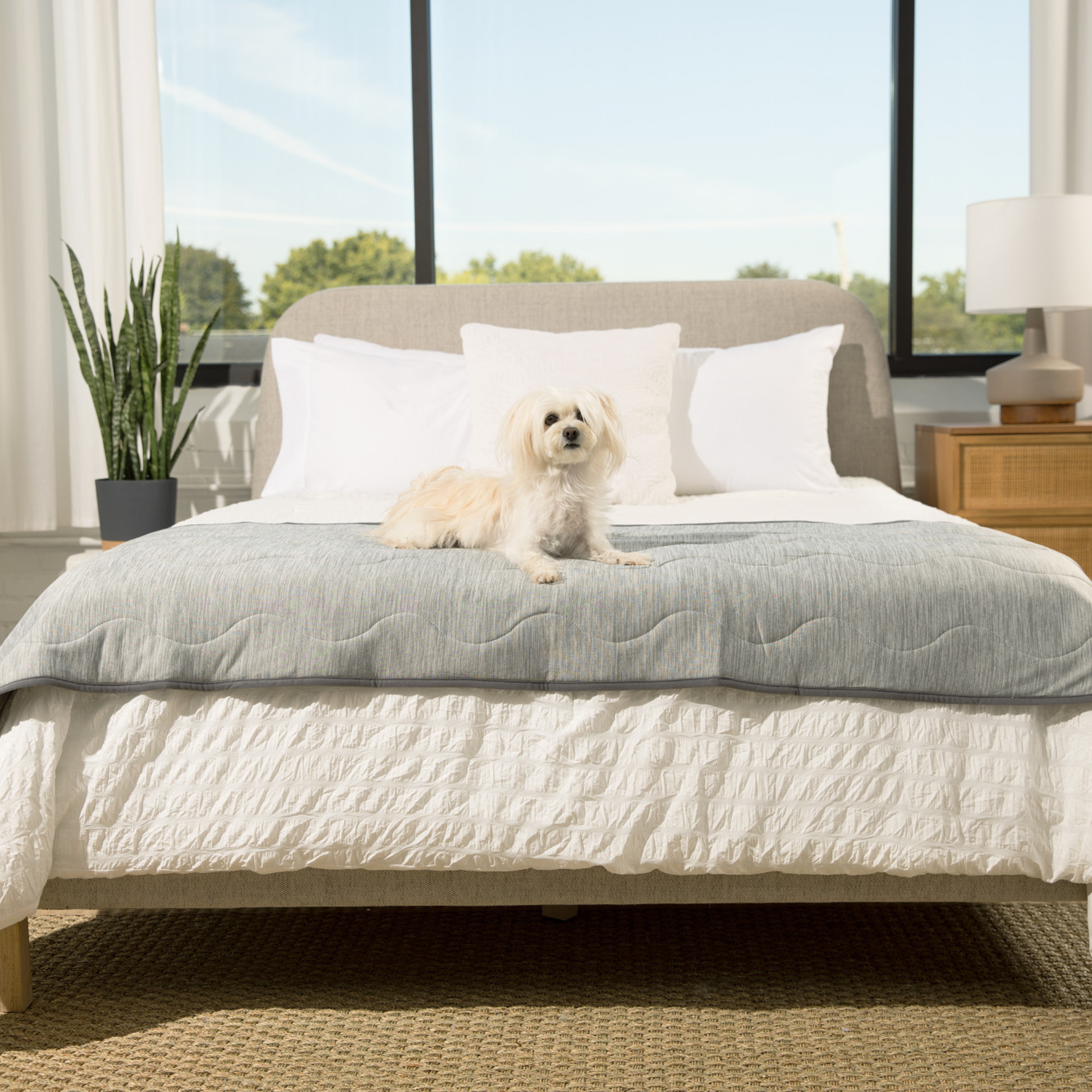 PupChill™ Cooling Waterproof Runner Blanket - Arctic Grey Dog Blanket Paw