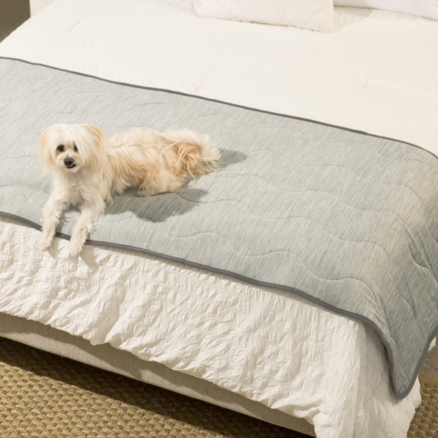 PupChill™ Cooling Waterproof Runner Blanket - Arctic Grey Dog Blanket Paw