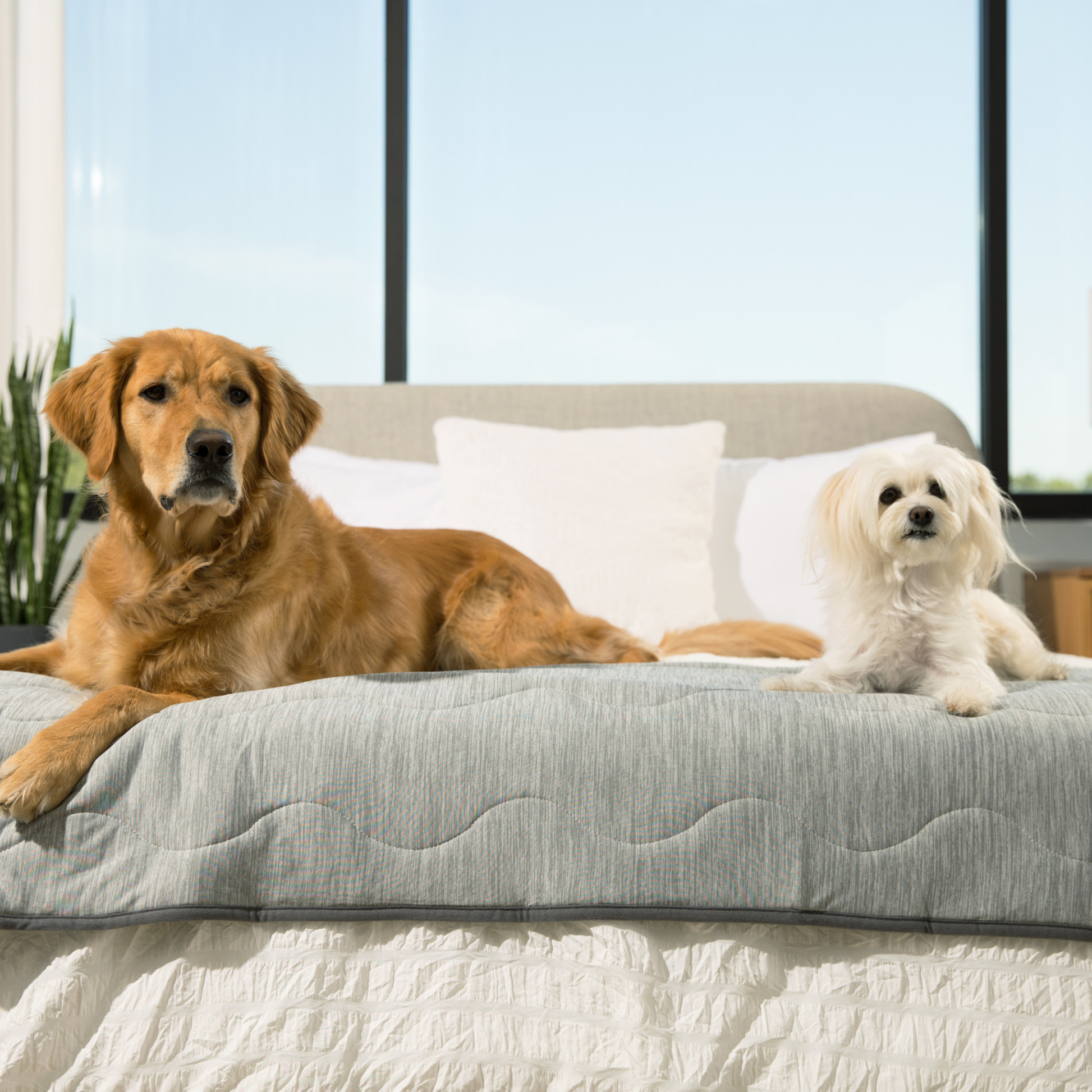 PupChill™ Cooling Waterproof Runner Blanket - Arctic Grey Dog Blanket Paw