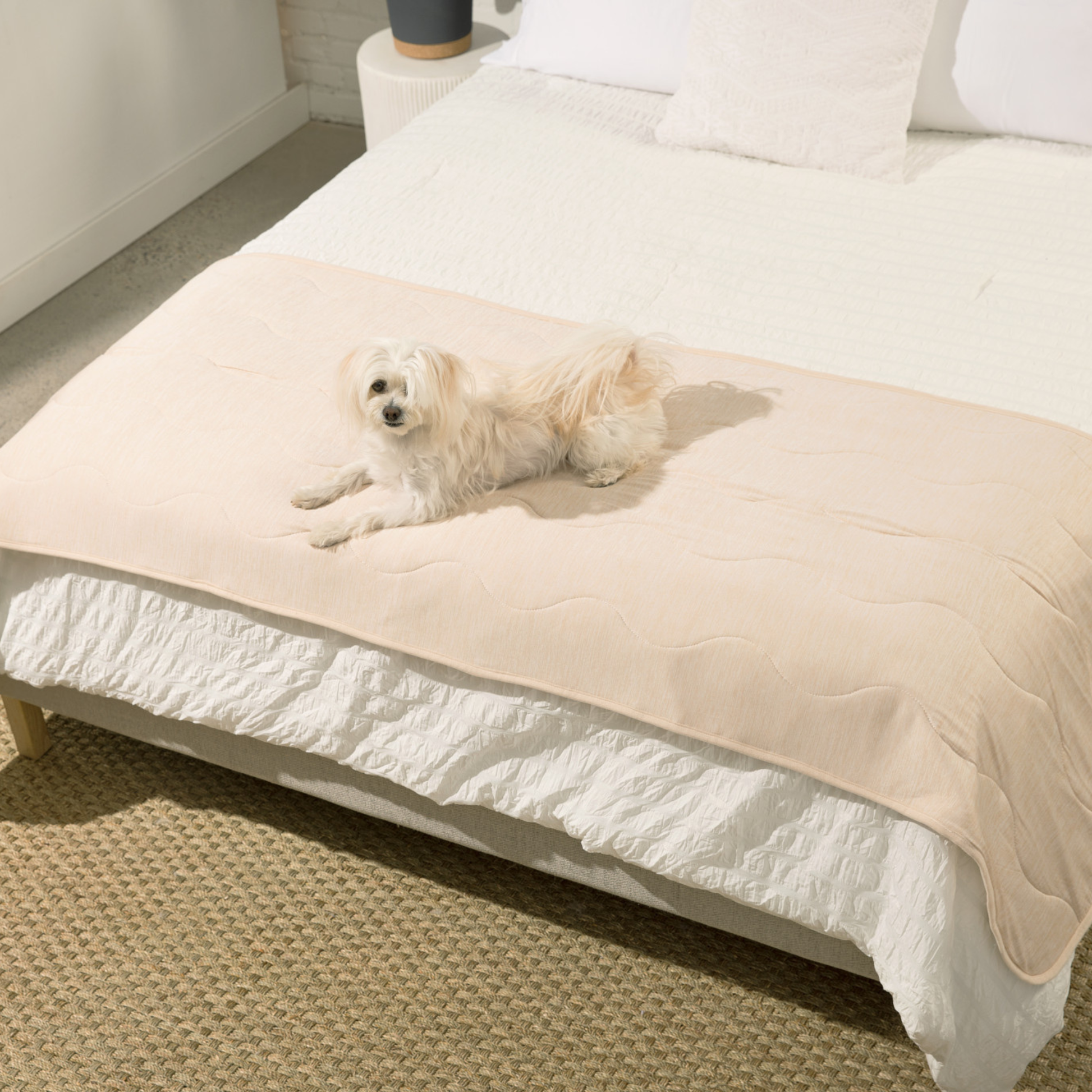 PupChill™ Cooling Waterproof Runner Blanket - Arctic Sand Dog Blanket Paw