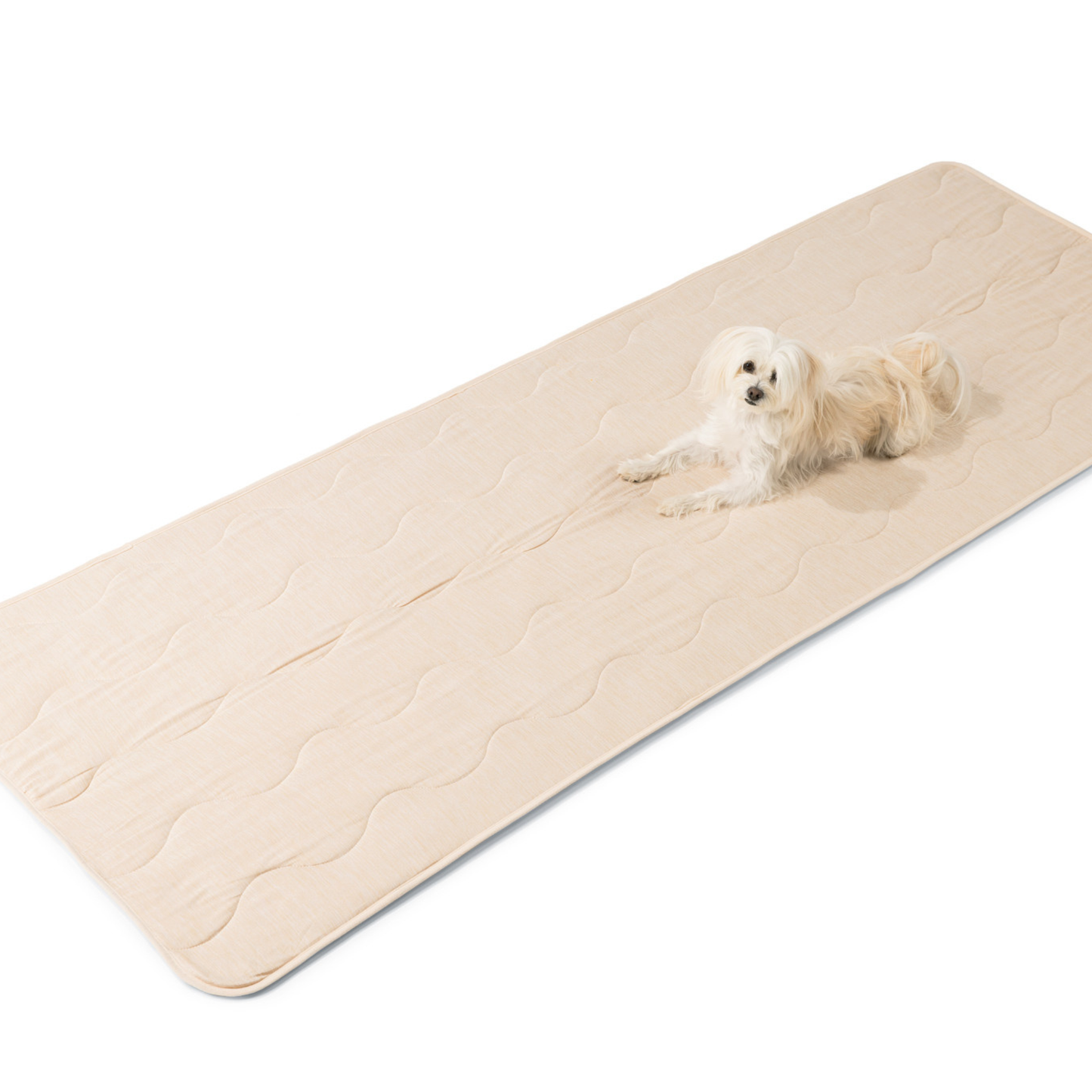 PupChill™ Cooling Waterproof Runner Blanket - Arctic Sand Dog Blanket Paw