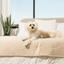 PupChill™ Cooling Waterproof Runner Blanket - Arctic Sand Dog Blanket Paw