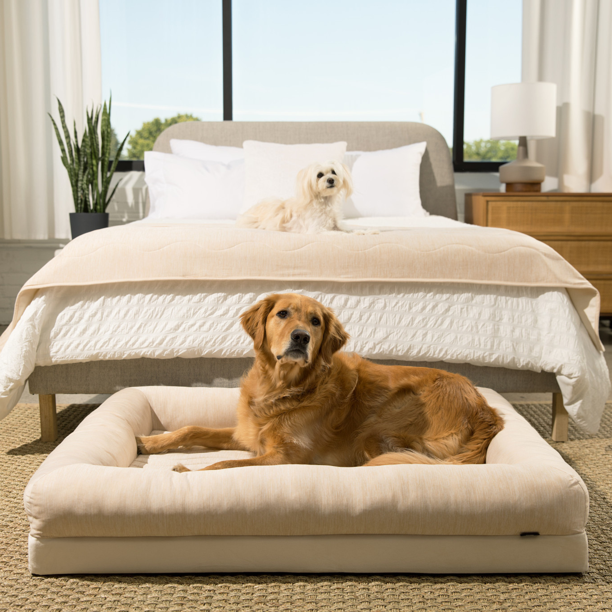 PupChill™ Cooling Waterproof Runner Blanket - Arctic Sand Dog Blanket Paw