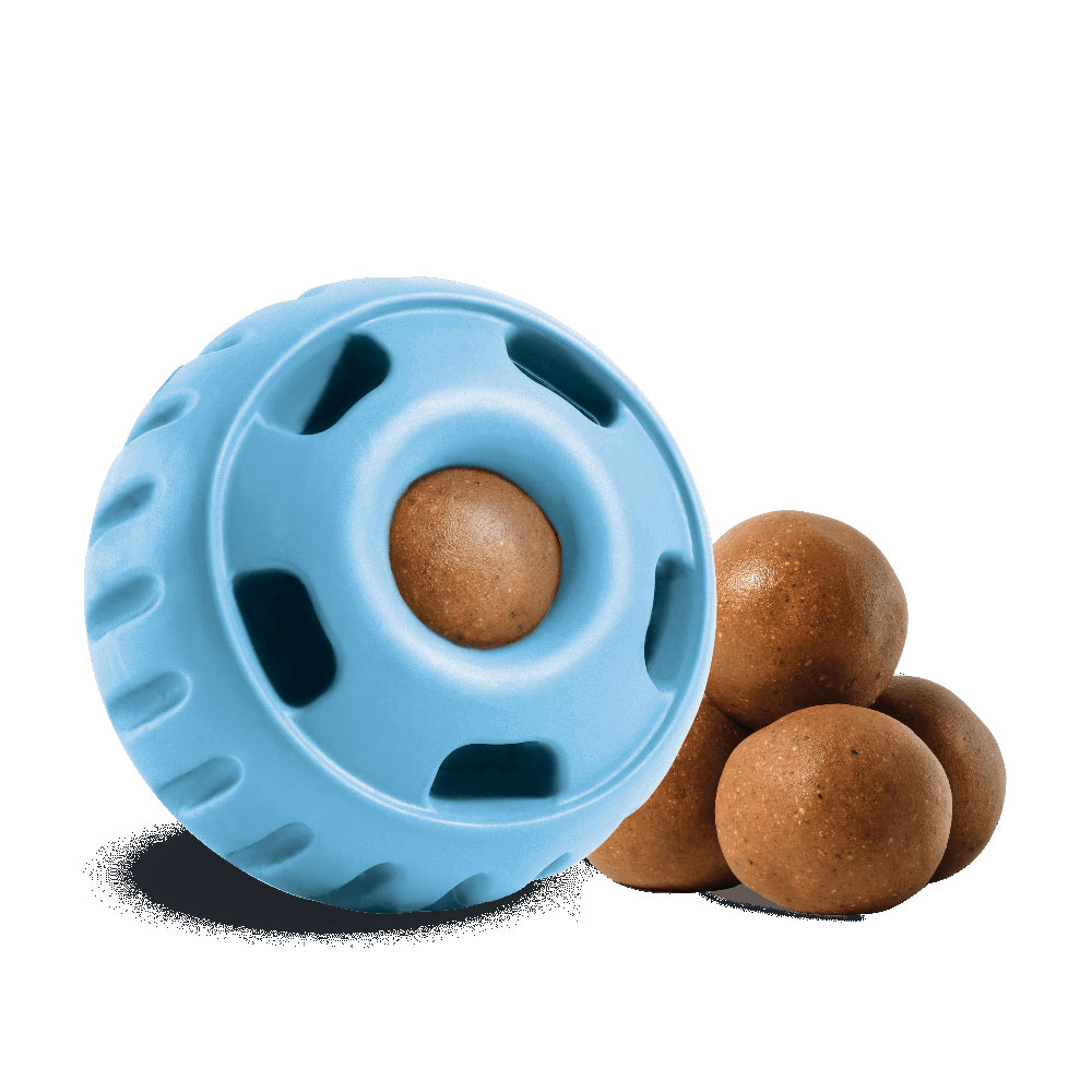 Pupsicle Enrichment Woof Pet