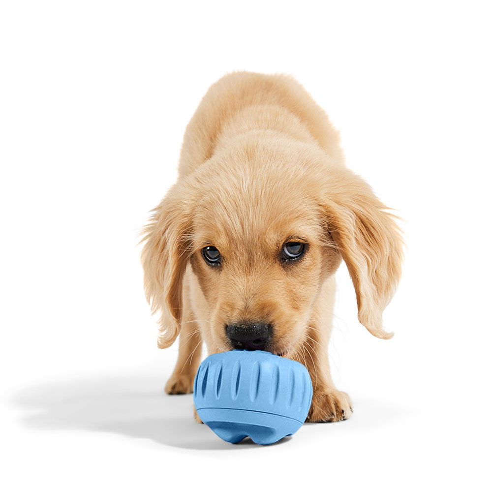 Pupsicle Enrichment Woof Pet