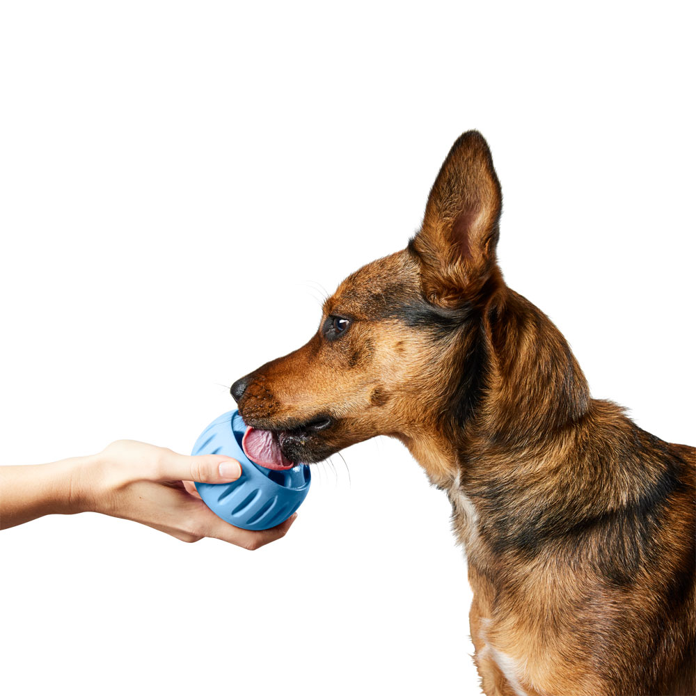 Pupsicle Enrichment Woof Pet