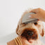 Detailer Comb (wholesale) Pupwell