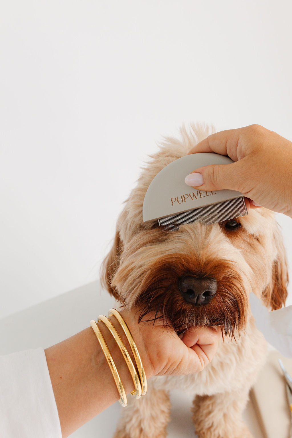Detailer Comb (wholesale) Pupwell