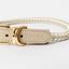 Rolled Collar (wholesale) Pupwell