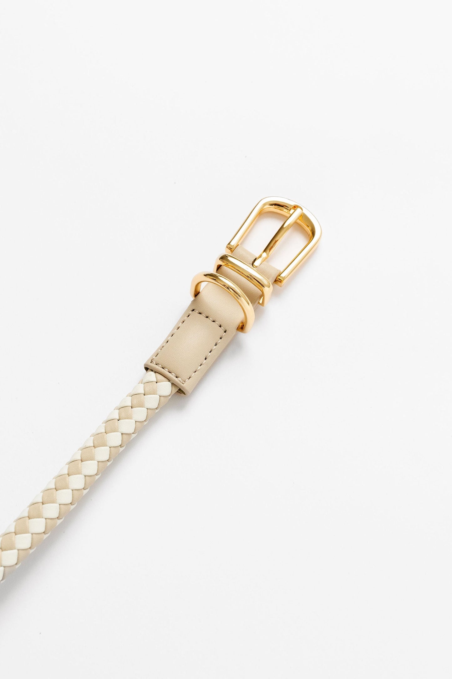 Rolled Collar (wholesale) Pupwell