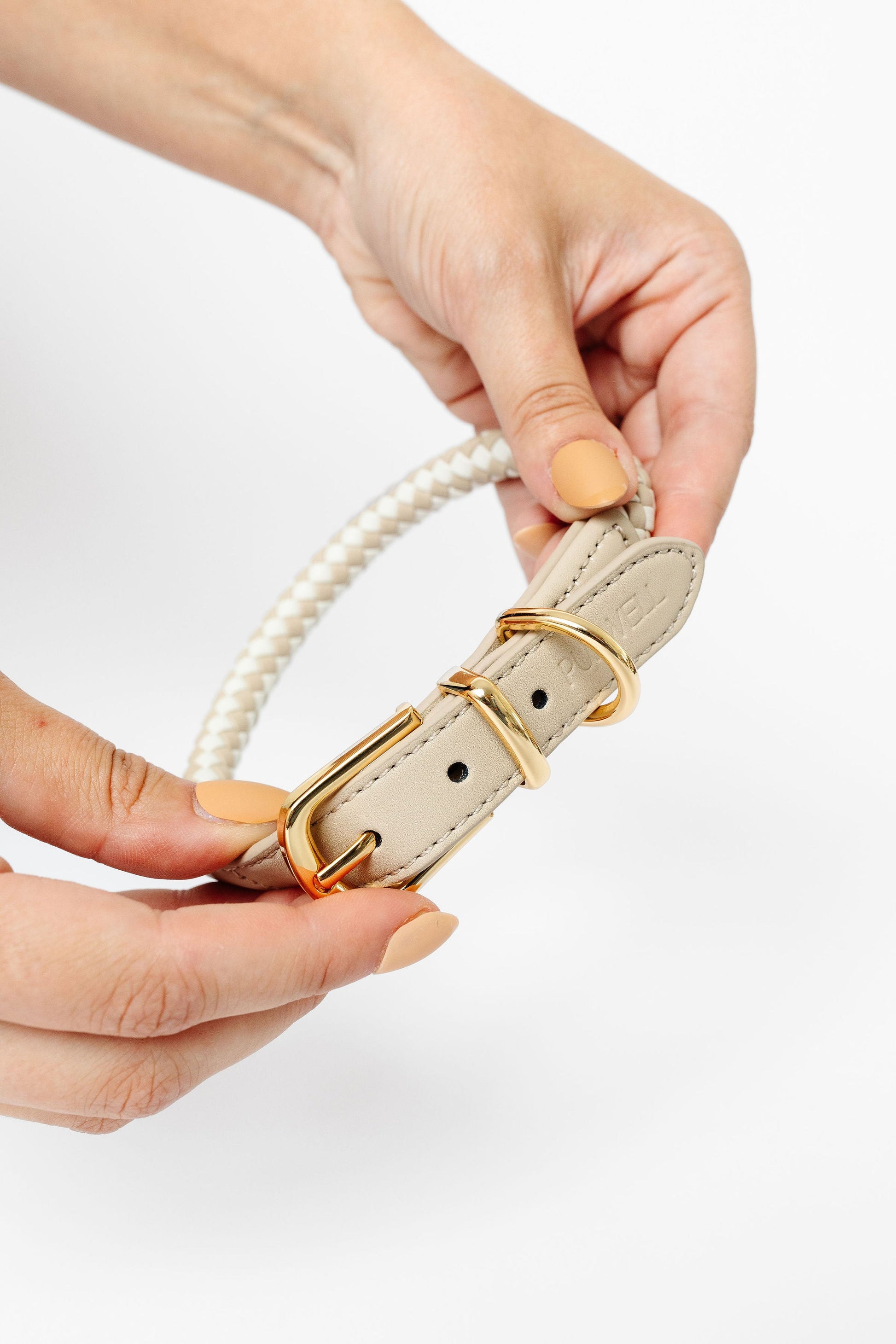 Rolled Collar (wholesale) Pupwell