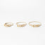 Rolled Collar (wholesale) Pupwell