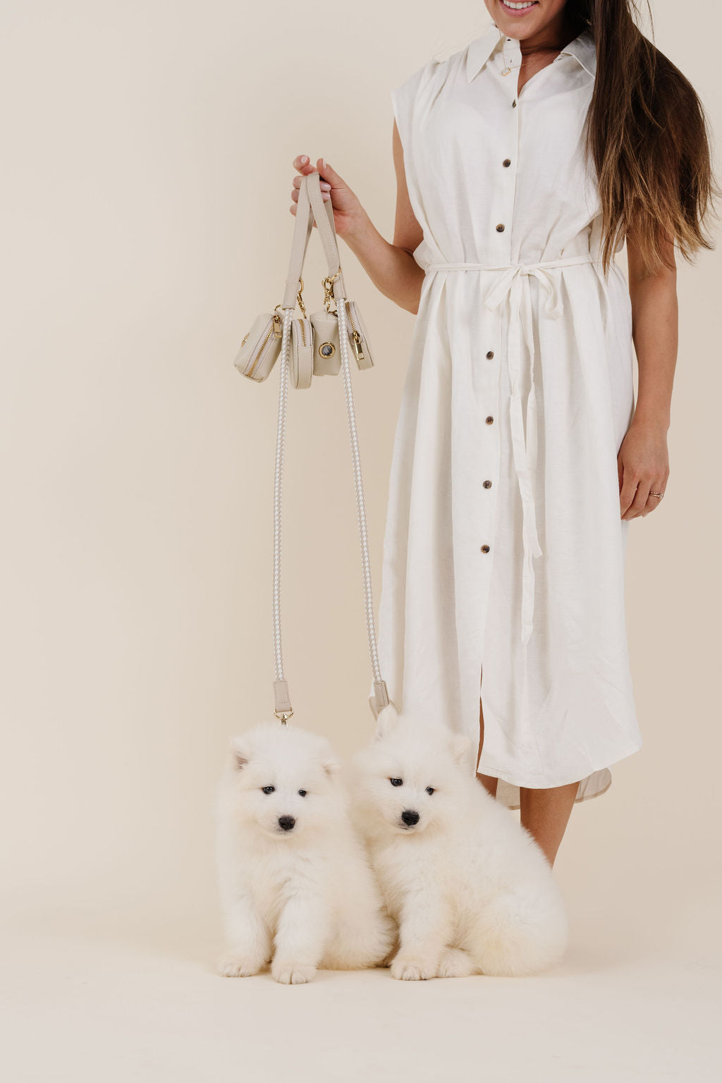 City Walk Kit (wholesale) Dog Supplies Pupwell